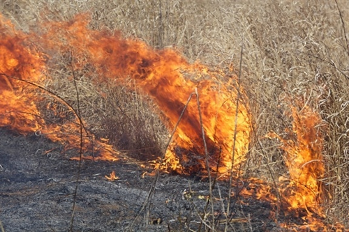 Dichiarazione stato di massima pericolosità incendi boschivi a partire dal giorno 8 luglio 2026